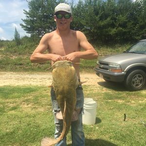 Meet your Posher, Terry